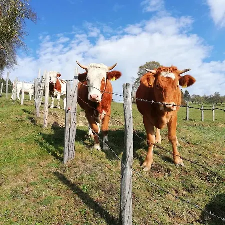 Appartement Tiny House Birner