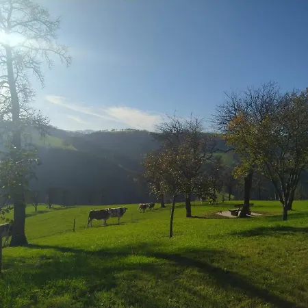 Tiny House Birner Apartment