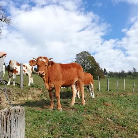 Tiny House Birner * Ertl