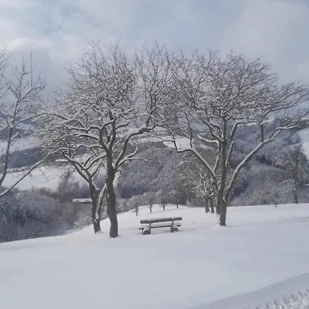 Apartment Tiny House Birner Ertl