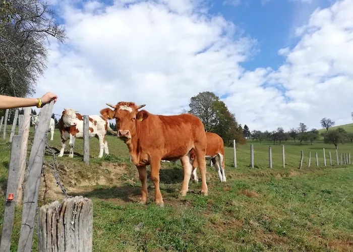 Tiny House Birner * Ertl