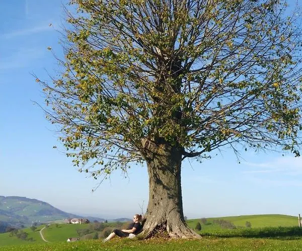 Tiny House Birner Apartment