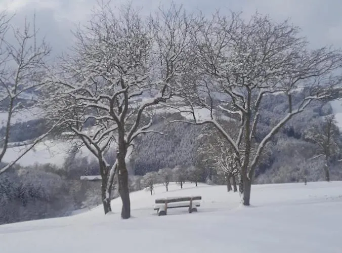 Apartament Tiny House Birner Ertl