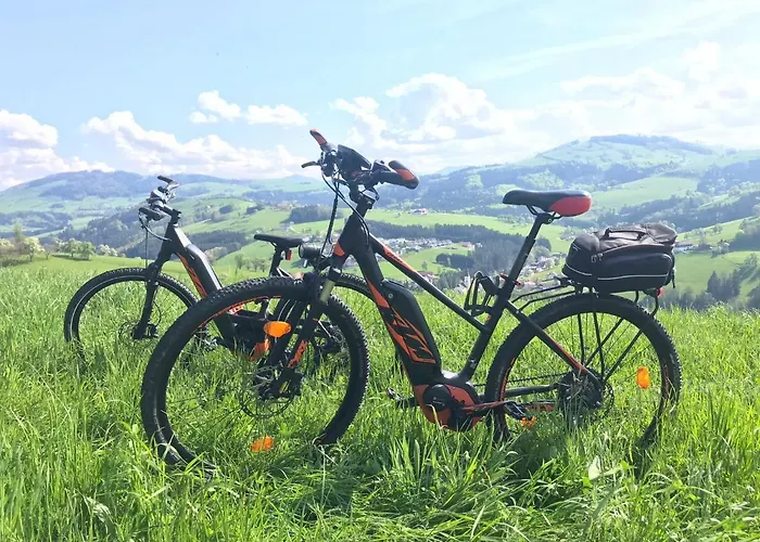 Tiny House Birner Apartment Ertl